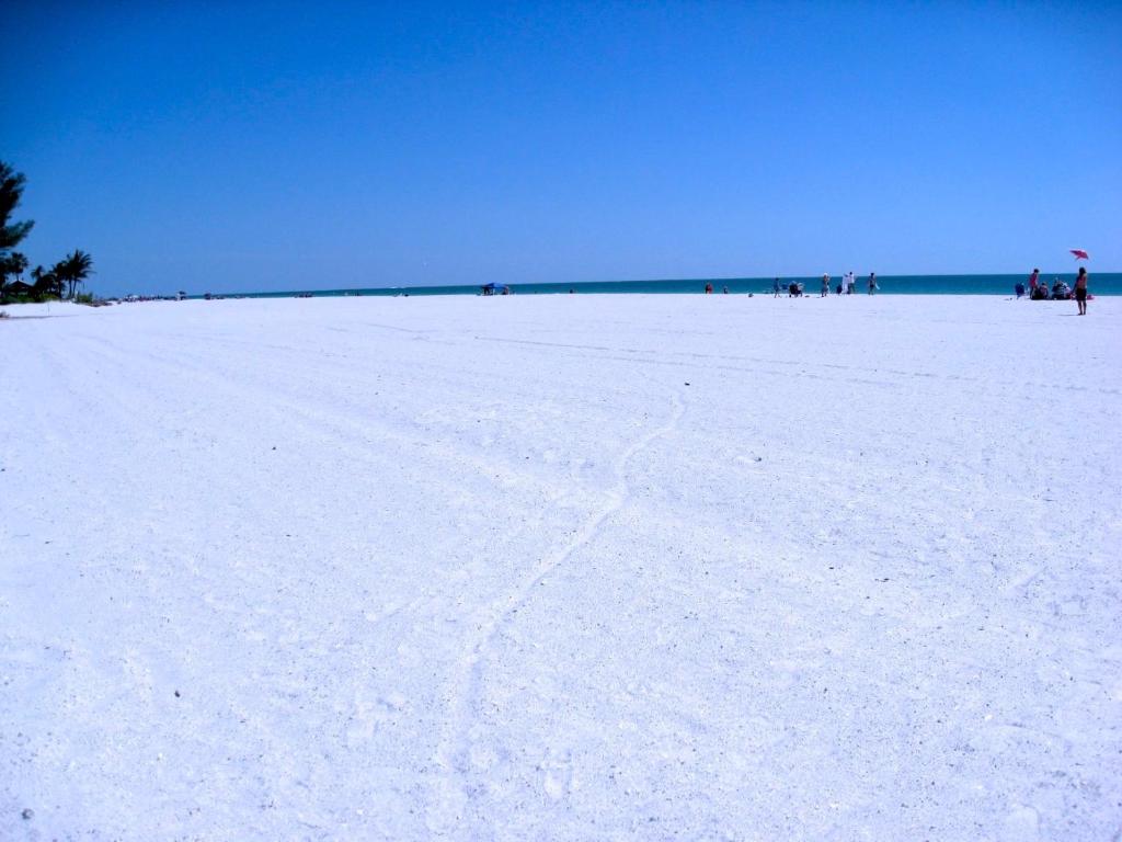 The Anna Maria Island Beach Palms 5B - image 5