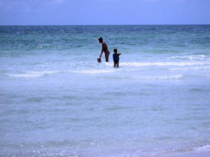 The Anna Maria Island Beach Sands 203 - image 5