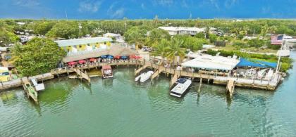 Snappers Bar Key Largo