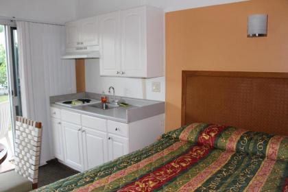 Warm Mineral Springs Motel - image 3