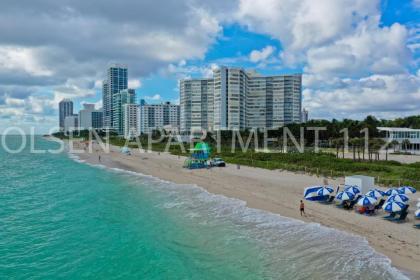 Olsen On the Beach - image 3