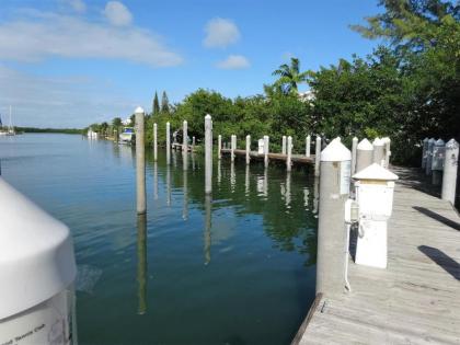 Coco Plum Beach & Tennis Club & Marina - image 4