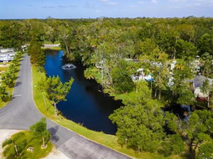 Homosassa River RV Resort - image 2