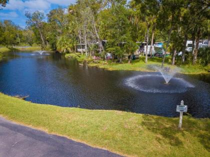 Homosassa River RV Resort - image 4