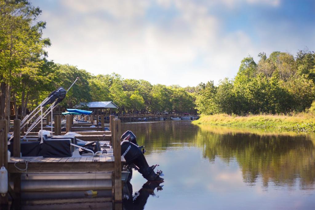 Camp Mack A Guy Harvey Lodge - image 2