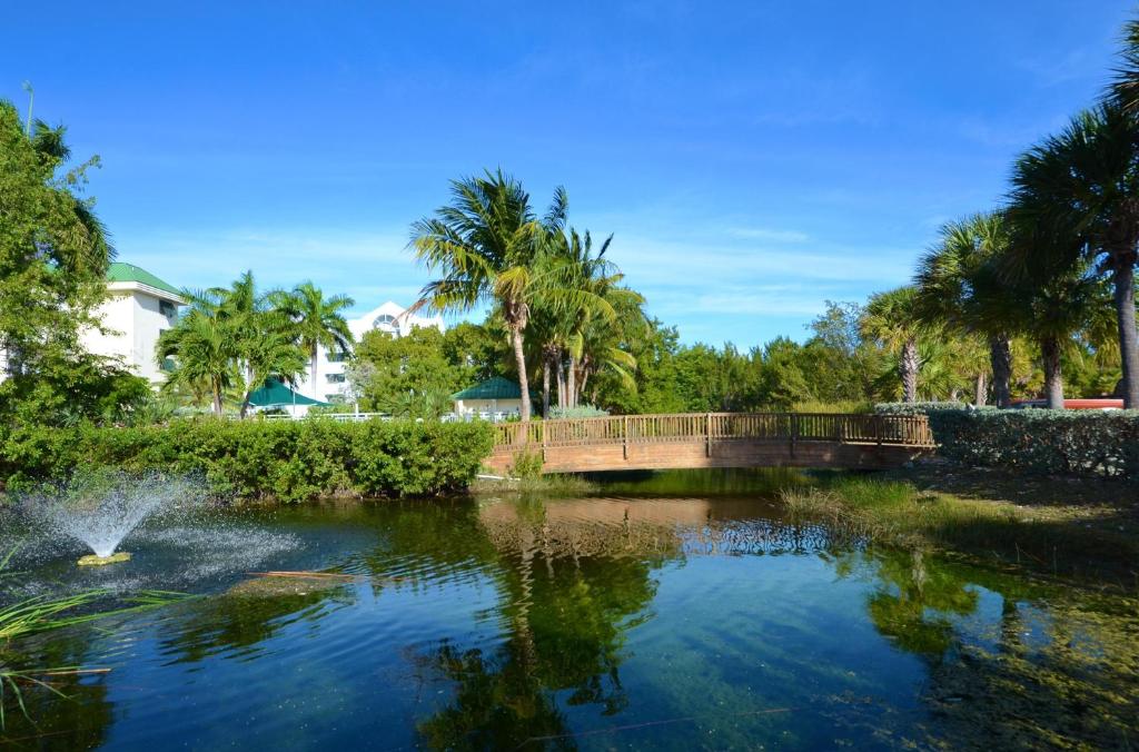 Sunrise Suites Cayo Coco Suite #208 - image 2