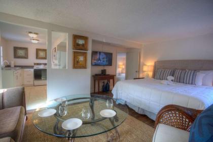 Holiday homes in St Pete Beach Florida