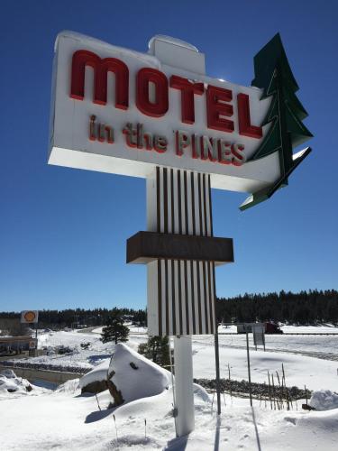 Motel In The Pines - main image