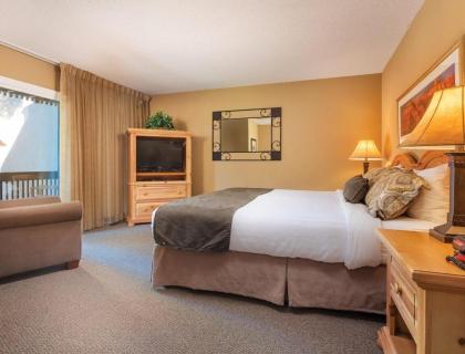 Resort Condos in Charming Mountain Town of Flagstaff - image 4