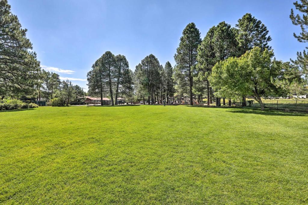 Contemporary Flagstaff Retreat with Ponderosas! - image 3