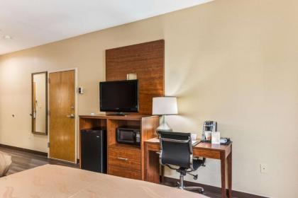 Quality Inn & Suites Hendersonville - Flat Rock - image 9