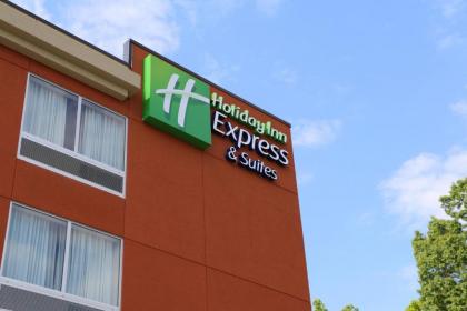 Holiday Inn Express & Suites - Hendersonville SE - Flat Rock an IHG Hotel - image 7