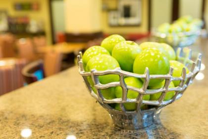 Hampton Inn and Suites Asheville Airport - image 3