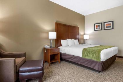 Comfort Inn Asheville Airport - image 10