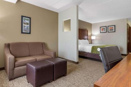 Comfort Inn Asheville Airport - image 11