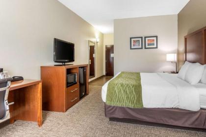 Comfort Inn Asheville Airport - image 12