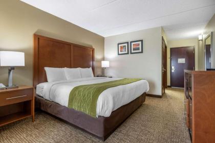 Comfort Inn Asheville Airport - image 13