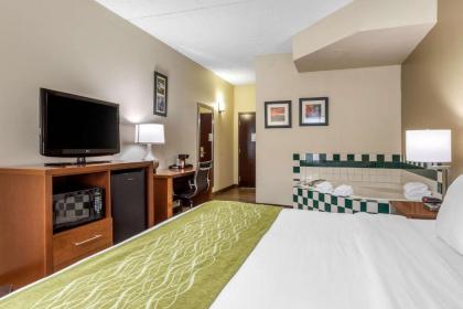 Comfort Inn Asheville Airport - image 5