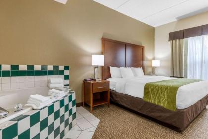 Comfort Inn Asheville Airport - image 6