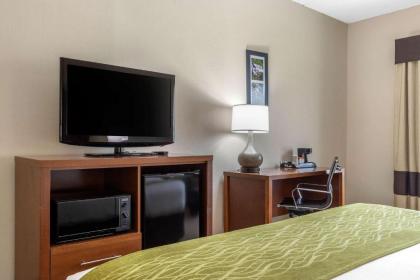 Comfort Inn Asheville Airport - image 8