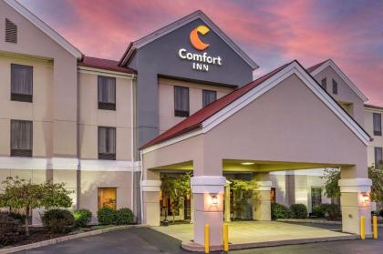 Comfort Inn Cincinnati Airport Turfway Road - image 6