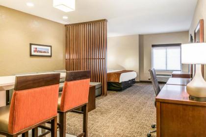 Comfort Suites Florence - Cincinnati South - image 12