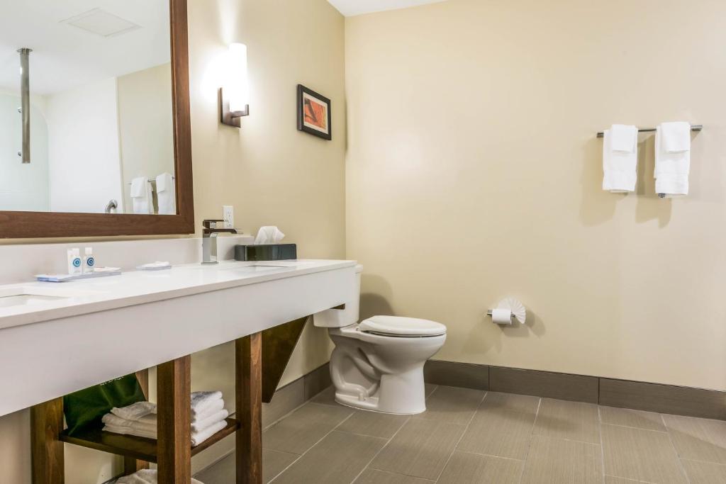 Comfort Suites Florence - Cincinnati South - image 4