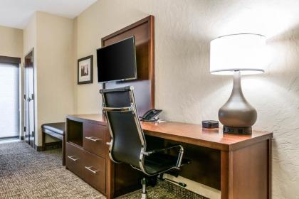 Comfort Suites Florence - Cincinnati South - image 6