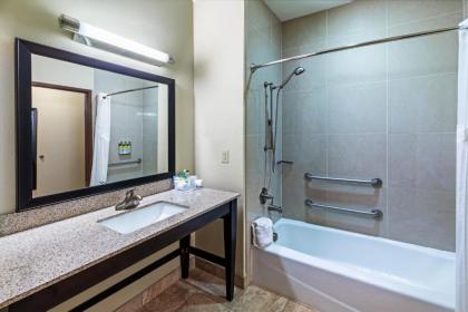 Holiday Inn Express Hotel & Suites Floresville an IHG Hotel - image 5