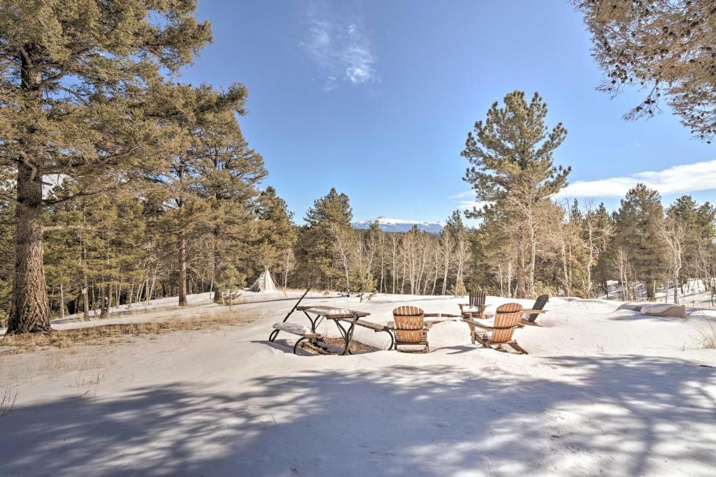 Log Cabin with Mountain Views about 30Mi to Pikes Peak - image 3