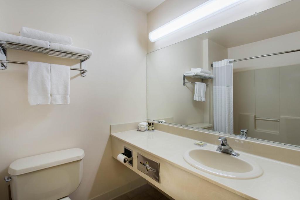 Hawthorn Suites by Wyndham Allentown-Fogelsville - image 3