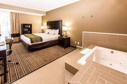 Comfort Inn Lehigh Valley West - image 13