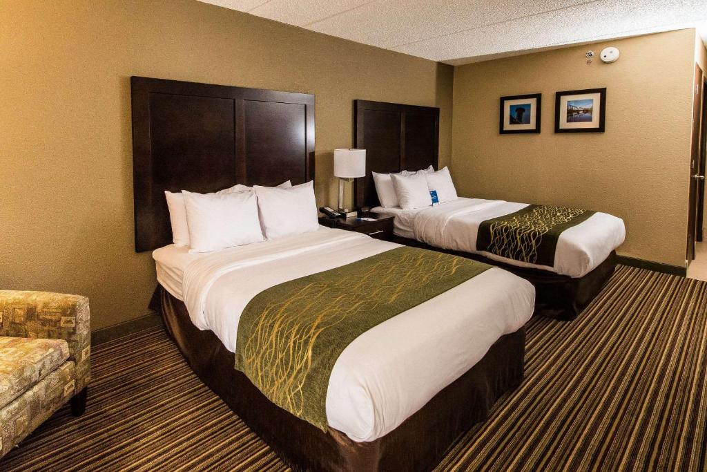 Comfort Inn Lehigh Valley West - image 5