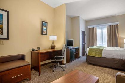 Comfort Suites Foley - North Gulf Shores - image 9