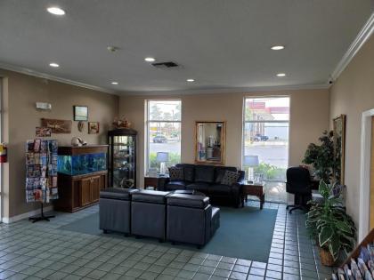 Americas Best Value Inn & Suites-Foley - image 4