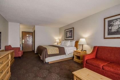 Comfort Inn Fond Du Lac - image 14