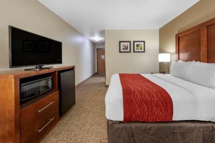 Comfort Inn Fontana - image 15