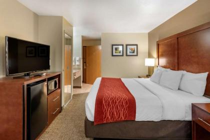 Comfort Inn Fontana - image 7