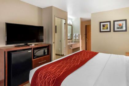 Comfort Inn Fontana - image 8