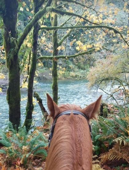 A Relaxing Get Away Solduc - image 11