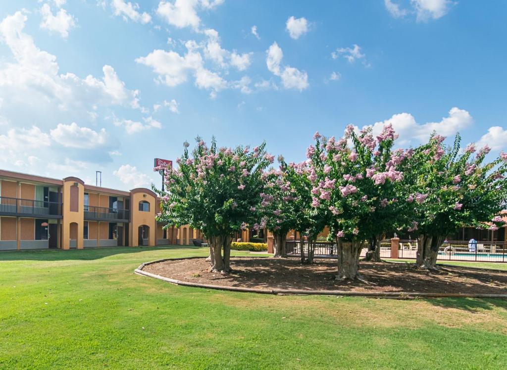 Red Roof Inn Forsyth - image 2