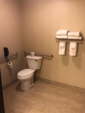 Cobblestone Inn & Suites - Fort Dodge - image 6