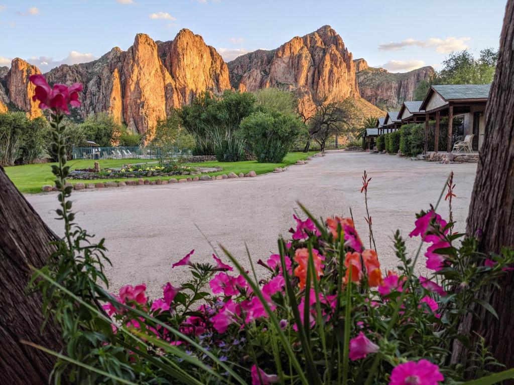 Saguaro Lake Ranch - main image