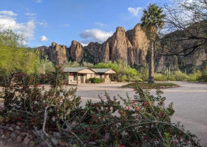 Saguaro Lake Ranch - image 13