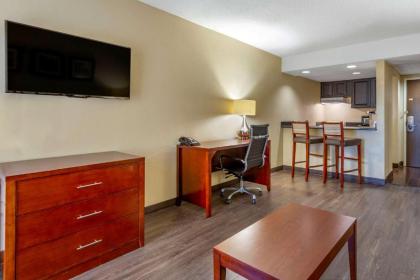 Comfort Inn At the Park - image 10