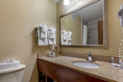 Comfort Inn At the Park - image 11