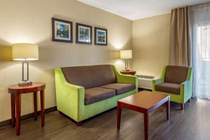 Comfort Inn At the Park - image 12