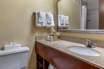 Comfort Inn At the Park - image 15