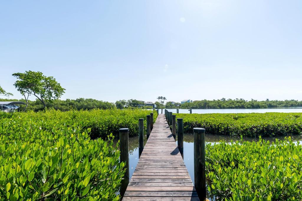 Blue Lagoon Estate - image 6