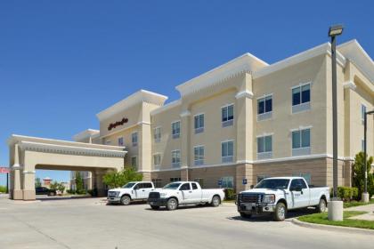 Hampton Inn Fort Stockton - image 1